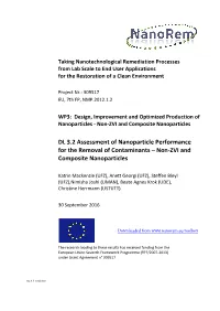 Non-ZVI and Composite Particles