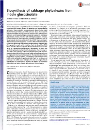 Biosynthesis of Cabbage Phytoalexins from Indole Glucosinolate