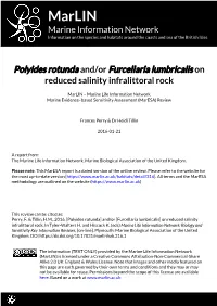 Download PDF Version