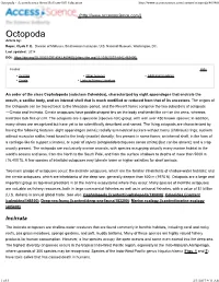 Incirrata Other Features Additional Readings Cirrata Links to Primary Literature