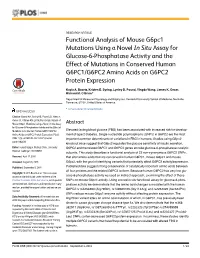 Functional Analysis of Mouse G6pc1 Mutations Using a Novel in Situ