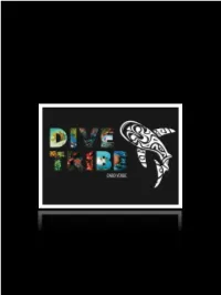 Presentation-Dive-Tr