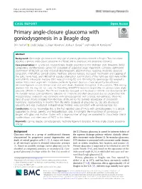Primary Angle-Closure Glaucoma with Goniodysgenesis in a Beagle Dog Shin Ae Park1 , Dodd Sledge2, Colleen Monahan2, Joshua T