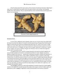 The Persistent Potato