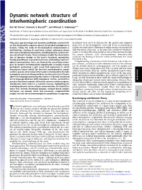 Dynamic Network Structure of Interhemispheric Coordination