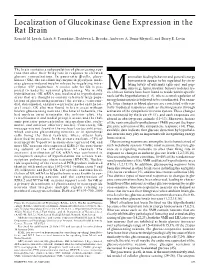 Localization of Glucokinase Gene Expression in the Rat Brain Ronald M
