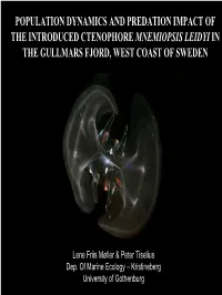 Population Dynamics and Predation Impact of the Introduced Ctenophore Mnemiopsis Leidyi in the Gullmars Fjord, West Coast of Sweden