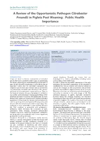 A Review of the Opportunistic Pathogen Citrobacter Freundii in Piglets Post Weaning : Public Health Importance
