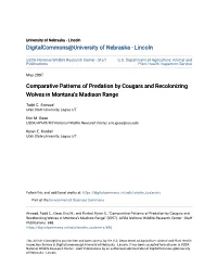 Comparative Patterns of Predation by Cougars and Recolonizing Wolves in Montana’S Madison Range