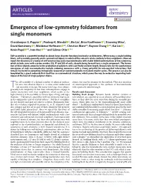 Emergence of Low-Symmetry Foldamers from Single Monomers