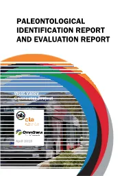 Paleontological Identification Report and Evaluation Report
