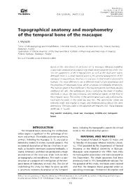 Topographical Anatomy and Morphometry of the Temporal Bone of the Macaque