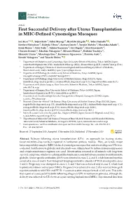 First Successful Delivery After Uterus Transplantation in MHC-Defined