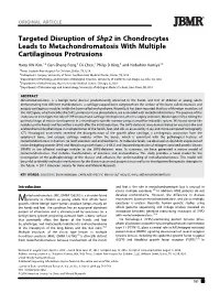 Targeted Disruption of Shp2 in Chondrocytes Leads to Metachondromatosis with Multiple Cartilaginous Protrusions