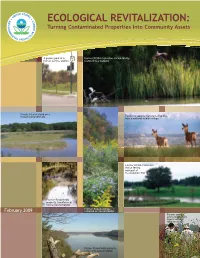 ECOLOGICAL REVITALIZATION: Turning Contaminated Properties Into Community Assets