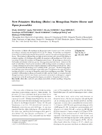 New Primitive Marking (Bider) in Mongolian Native Horse and Equus Przewalskii