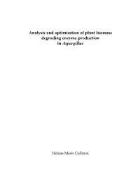 Analysis and Optimisation of Plant Biomass Degrading Enzyme Production in Aspergillus