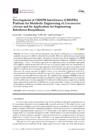 Development of CRISPR Interference (Crispri) Platform for Metabolic Engineering of Leuconostoc Citreum and Its Application for Engineering Riboﬂavin Biosynthesis