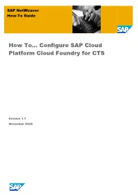 How To... Configure SAP Cloud Platform Cloud Foundry for CTS