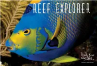 Reef Explorer Guide Highlights the Underwater World ALLIGATOR of the Florida Keys, Including Unique Coral Reefs from Key Largo to OLD CANNON Key West