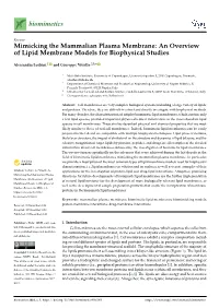 An Overview of Lipid Membrane Models for Biophysical Studies