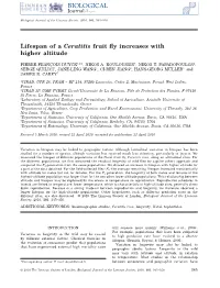 Lifespan of a Ceratitis Fruit Fly Increases with Higher Altitude