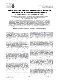 Terror Birds on the Run: a Mechanical Model to Estimate Its Maximum Running Speed R