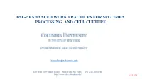 Bsl-2 Enhanced Work Practices for Specimen Processing and Cell Culture