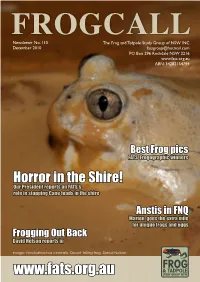 December 2010 Issue