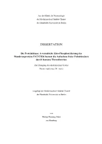 Dissertation
