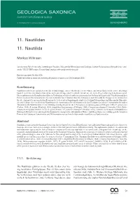 11. Nautiliden 11