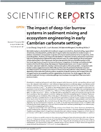 The Impact of Deep-Tier Burrow Systems in Sediment Mixing and Ecosystem Engineering in Early Cambrian Carbonate Settings