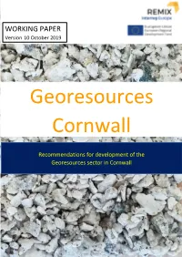 Georesources Cornwall Working Paper