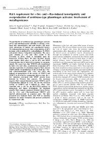 Rala Requirement for V-Src- and V-Ras-Induced Tumorigenicity and Overproduction of Urokinase-Type Plasminogen Activator: Involvement of Metalloproteases