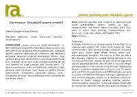Sexualized Spaces Revisited