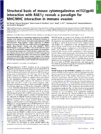 Structural Basis of Mouse Cytomegalovirus M152/Gp40 Interaction with Rae1γ Reveals a Paradigm for MHC/MHC Interaction in Immune