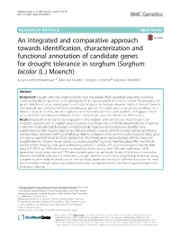 An Integrated and Comparative Approach Towards Identification