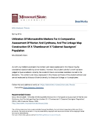 Utilization of Microsatellite Markers for a Comparative Assessment Of