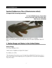 Chaetostoma Milesi) Ecological Risk Screening Summary