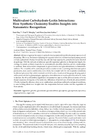 Multivalent Carbohydrate-Lectin Interactions: How Synthetic Chemistry Enables Insights Into Nanometric Recognition