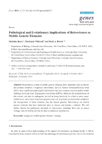 Pathological and Evolutionary Implications of Retroviruses As Mobile Genetic Elements