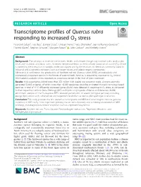 Transcriptome Profiles of Quercus Rubra Responding to Increased O3