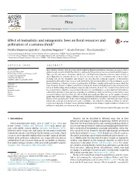 Effect of Mutualistic and Antagonistic Bees on Floral Resources and Pollination of a Savanna Shrub