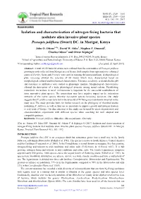 Isolation and Characterization of Nitrogen Fixing Bacteria That Nodulate Alien Invasive Plant Species Prosopis Juliflora (Swart) DC