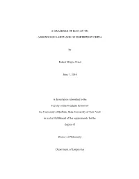 A Grammar of Bao'an Tu, a Mongolic Language Of