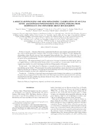A Molecular Phylogeny and New Infrageneric Classification of Mucuna Adans. (Leguminosae-Papilionoideae) Including Insights From