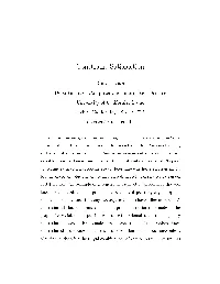 Constraint Satisfaction