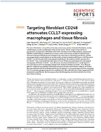 Targeting Fibroblast CD248 Attenuates CCL17-Expressing Macrophages