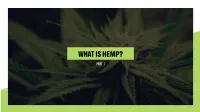 What Is Hemp Part 1.Indd
