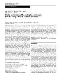 Cloning and Analysis of the Mating-Type Idiomorphs from the Barley Pathogen Septoria Passerinii